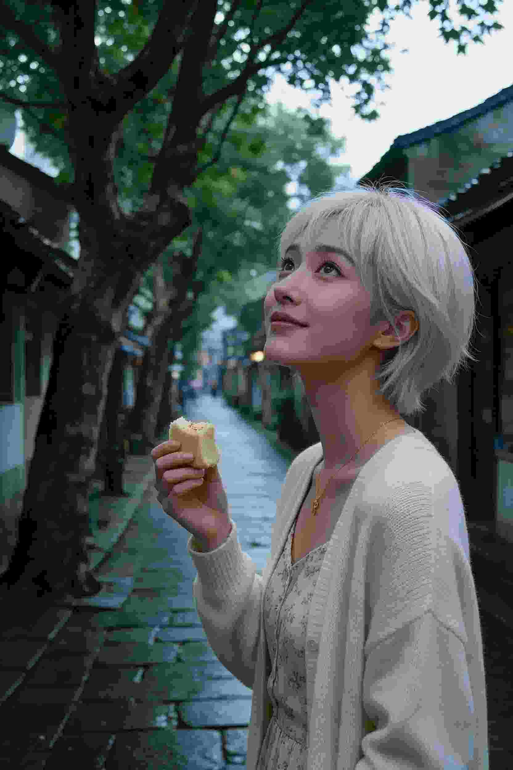 双重身份